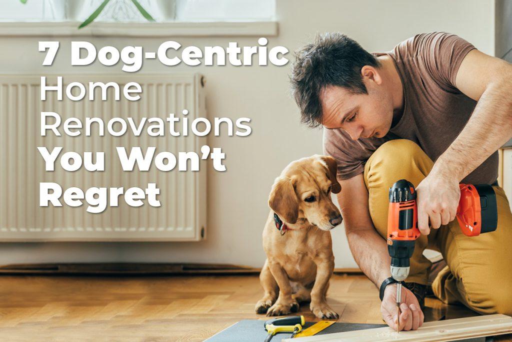 7 Dog-Centric Home Renovations You Won’t Regret